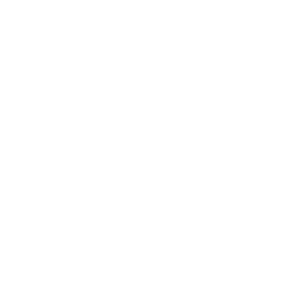 fh logo vertical white